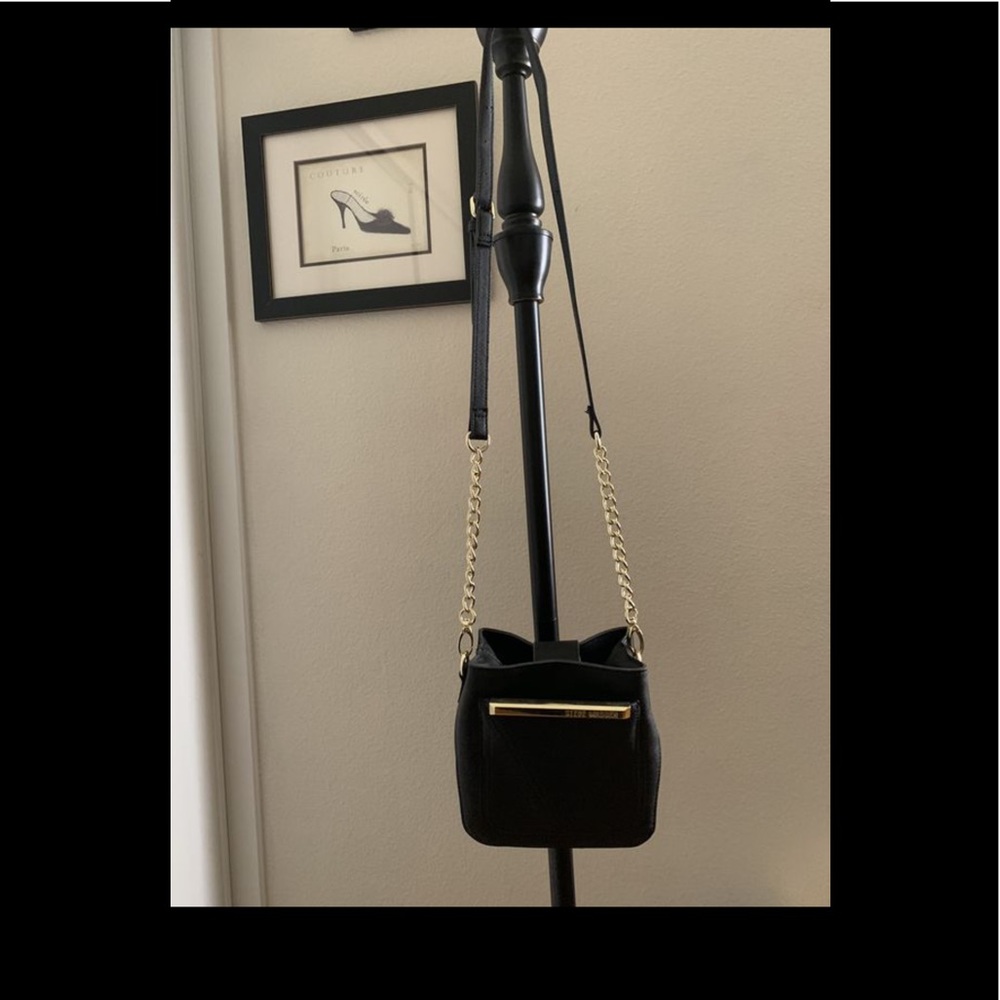 Steve Madden purse
